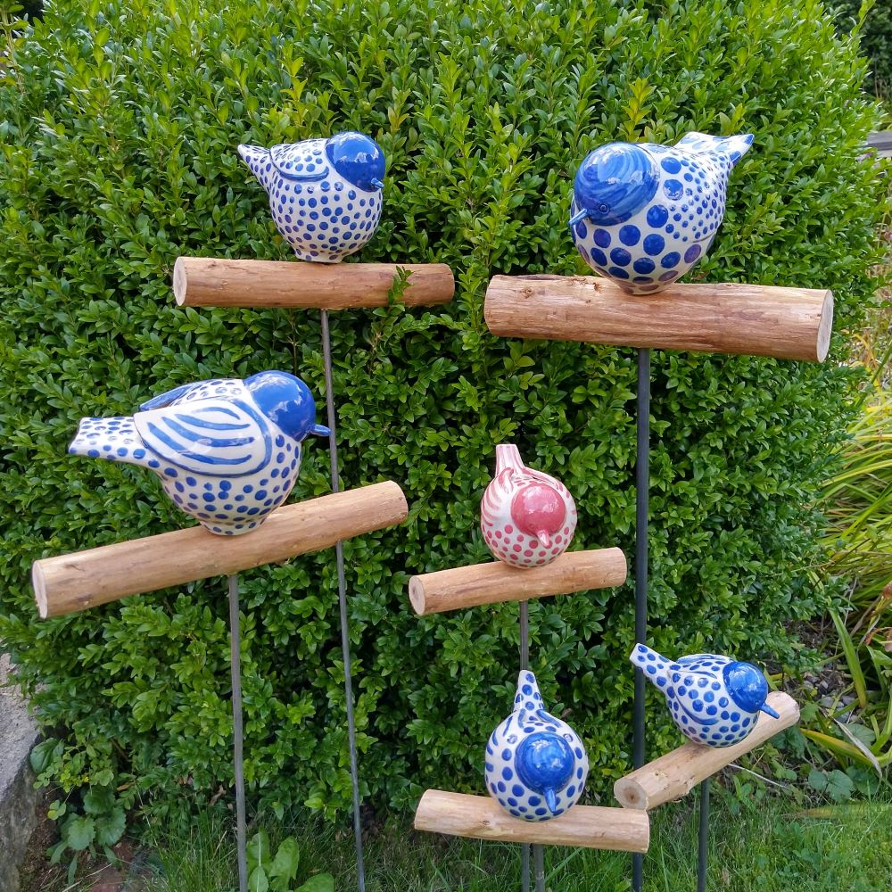Gemusterte Vögel für den Garten